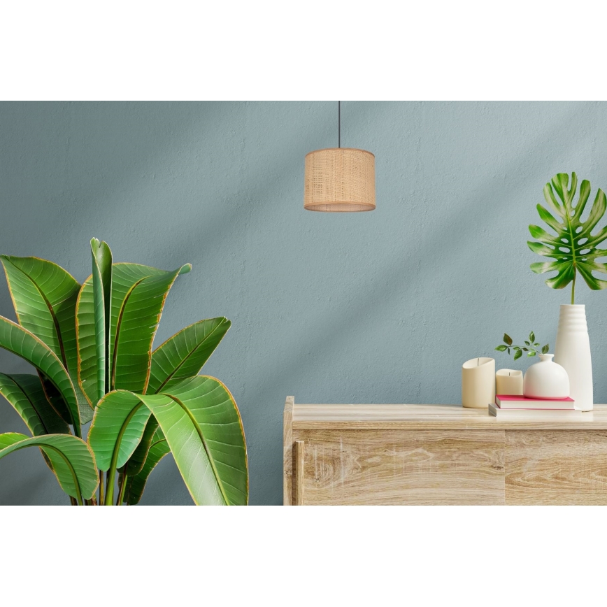 Luster na sajli IRMA 1xE27/60W/230V pr. 20 cm