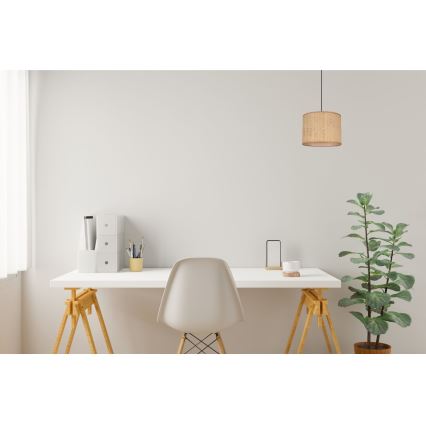 Luster na sajli IRMA 1xE27/60W/230V pr. 20 cm