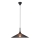 Luster na sajli KIRUNA 1xE27/40W/230V pr. 50 cm crna