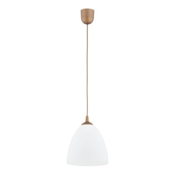 Luster na sajli LERA 1xE27/15W/230V zlatna