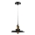 Luster na sajli LOFT 1xE27/60W/230V pr. 22 cm crna