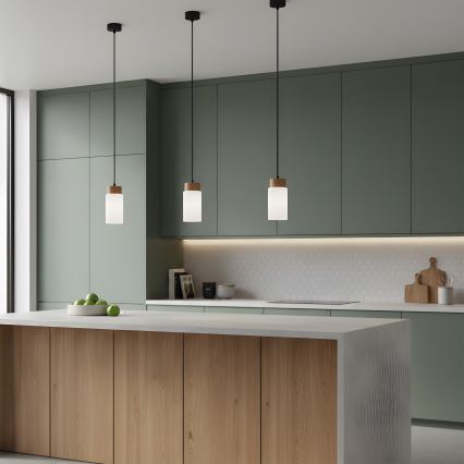 Luster na sajli MARKUS 1xE27/15W/230V crna/hrast