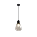 Luster na sajli MOLDO 1xE27/40W/230V crna/prozirna