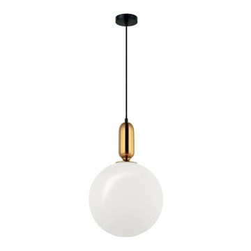 Luster na sajli NEPTUNE 1xE27/40W/230V zlatni