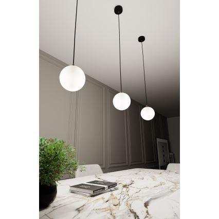 Luster na sajli ROYAL 1xE14/10W/230V pr. 14 cm crna