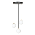 Luster na sajli ROYAL 3xE14/10W/230V pr. 30 cm crna