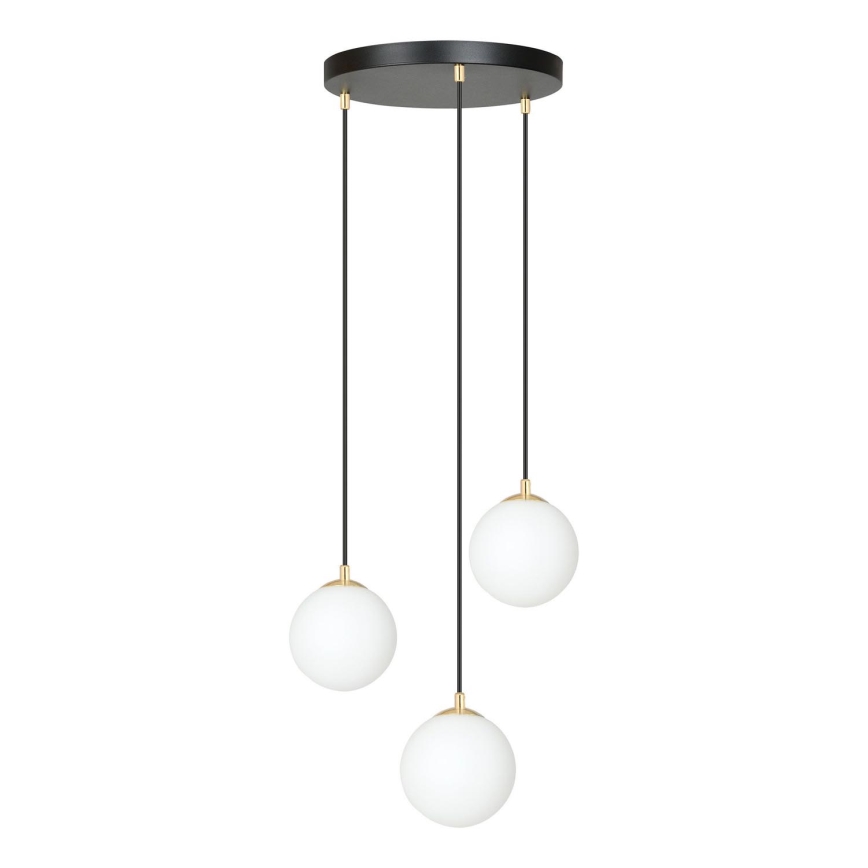 Luster na sajli ROYAL 3xE14/10W/230V pr. 30 cm crna
