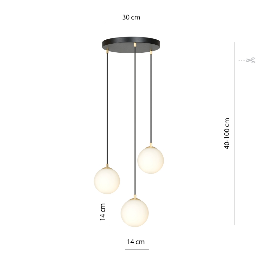 Luster na sajli ROYAL 3xE14/10W/230V pr. 30 cm crna