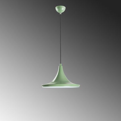Luster na sajli TOM 1xE27/40W/230V zelena