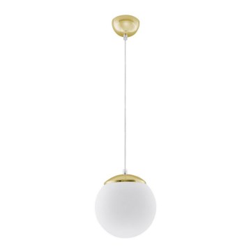 Luster na sajli TOYA 1xE27/60W/230V pr. 20 cm bijela/zlatna