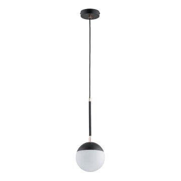 Luster na sajli VOLDA 1xE14/10W/230V crna