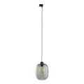 Luster na sajli za 3-fazni tračni sustav ELIO 1xE27/15W/230V crna/dimna crna