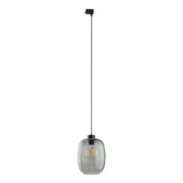 Luster na sajli za 3-fazni tračni sustav ELIO 1xE27/15W/230V crna/dimna crna