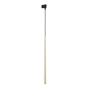 Luster na sajli za 3-fazni tračni sustav PIANO 1xG9/8W/230V zlatna/crna