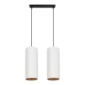 Luster na užetu AVALO 2xE27/60W/230V bijela/mesing