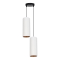 Luster na užetu AVALO 2xE27/60W/230V promjer 20 cm bijela/mesing