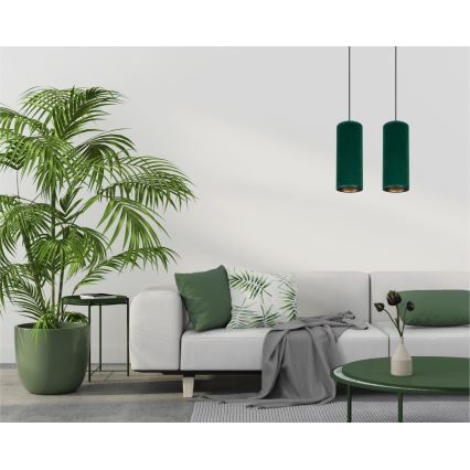 Luster na užetu AVALO 2xE27/60W/230V zelena/mesing