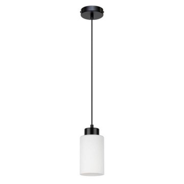 Luster na užetu BOSCO 1xE27/60W/230V