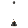 Luster na užetu DANIELLE 1xE27/60W/230V bukovina