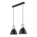 Luster na užetu DANIELLE 2xE27/60W/230V buk