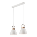 Luster na užetu DANIELLE 2xE27/60W/230V buk