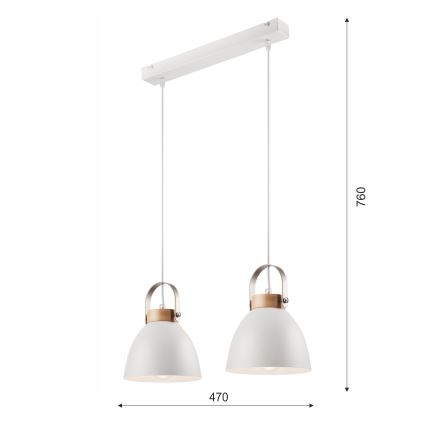 Luster na užetu DANIELLE 2xE27/60W/230V buk