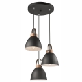 Luster na užetu DANIELLE 3xE27/60W/230V bukva