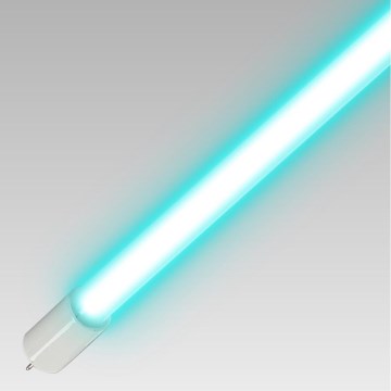 Luxera 70419 - Dezinfekcijska germicidna cijev T5 UVC/8W/230V