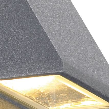 Markslöjd 102578 - LED Vanjska zidna svjetiljka CARINA LED/1W/230V IP44