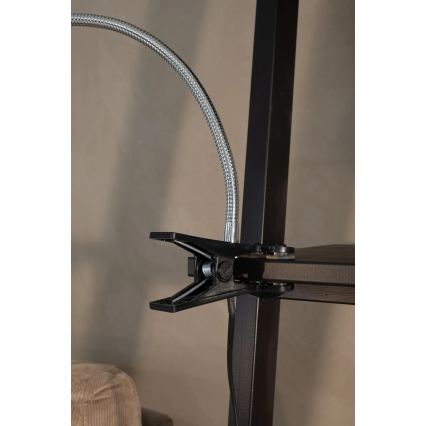 Markslöjd 106092 - LED Stolna lampa s kvačicom TULIP LED/3W/230V crna