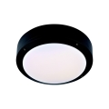 Markslöjd 106535 - LED Stropna svjetiljka LUNA LED/10W/230V