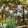 Markslöjd 107293 - LED Vanjski dekorativni lanac GIRLANDA GARDEN 10xLED 5,5m IP44