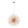 Markslöjd 107752 - Luster na sajli SOLEIL 12xE14/20W/260V rose gold