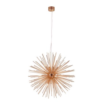 Markslöjd 107752 - Luster na sajli SOLEIL 12xE14/20W/260V rose gold