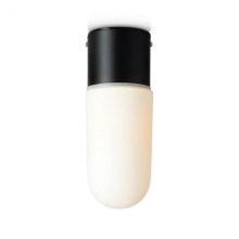 Markslöjd 107797 - Stropna svjetiljka za kupaonicu ZEN 1xE27/15W/230V IP44