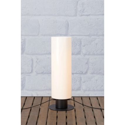 Markslöjd 107985 - LED vanjska svjetiljka GARDEN24 LED/12W/24V 70 cm IP44 crna