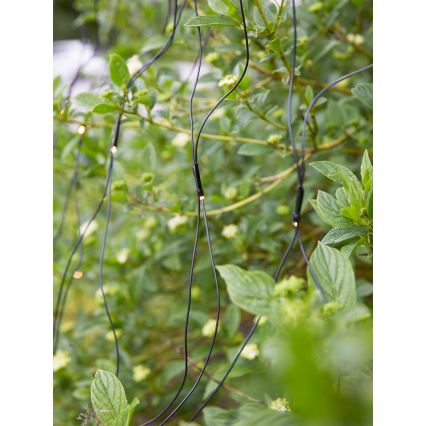 Markslöjd 108178 - LED vanjska božićna zavjesa GARDEN24 160xLED/24V 2x2m topla bijela