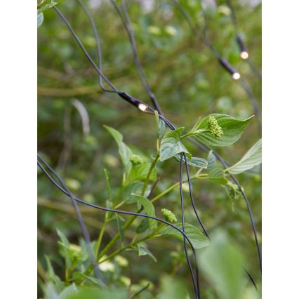 Markslöjd 108178 - LED vanjska božićna zavjesa GARDEN24 160xLED/24V 2x2m topla bijela