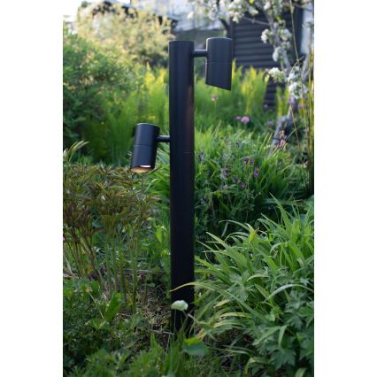 Markslöjd 108486 - LED vanjska svjetiljka GARDEN24 2xLED/6W/24V 99 cm IP44 crna
