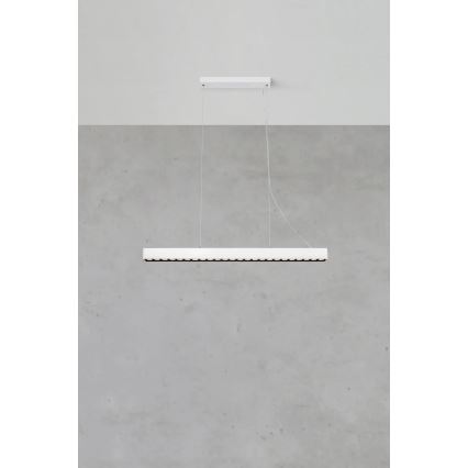 Markslöjd 108892 - LED luster s mogućnošću prigušivanja na sajli PLANO LED/38W/230V bijela