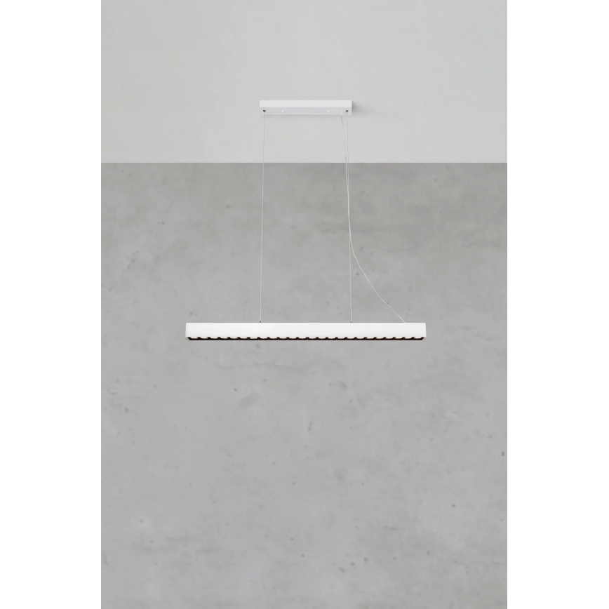 Markslöjd 108892 - LED luster s mogućnošću prigušivanja na sajli PLANO LED/38W/230V bijela