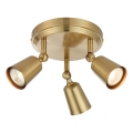 Markslöjd 108980 - Reflektor TINY 3xGU10/7W/230V mesing