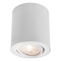 Markslöjd 109020 - LED spot s mogućnošću prigušivanja DIRETTO LED/5W/230V CRI 90 bijela