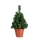 Markslöjd 703971 - Božićno drvce MAGGI LED/1,2W/3xAA zelena 70cm