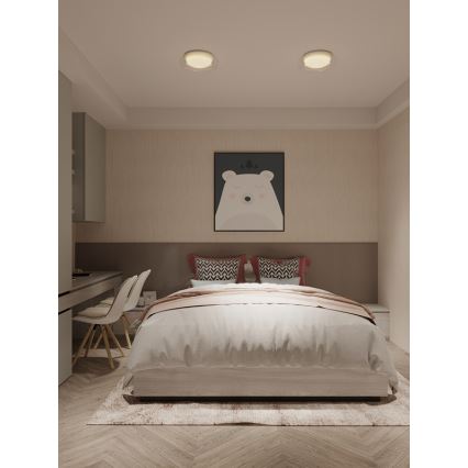 MAXLIGHT C0233 - LED Stropna svjetiljka DUO LED/10W/230V pr. 34 cm bijela