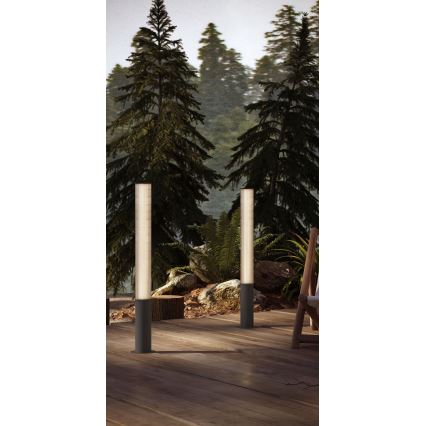 MAXLIGHT F0065 - LED Vanjska svjetiljka GARDENIA LED/25W/230V 105 cm CRI 93 IP65 antracit