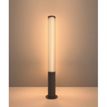 MAXLIGHT F0065 - LED Vanjska svjetiljka GARDENIA LED/25W/230V 105 cm CRI 93 IP65 antracit