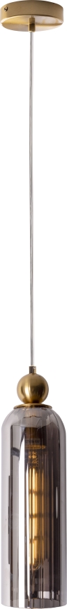 MAXLIGHT P0511 - Luster na sajli CAMPANILA 1xE27/40W/230V pr. 10 cm mesing/siva