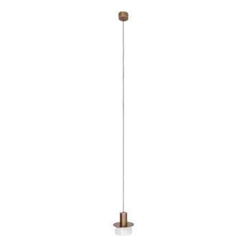 MAXLIGHT P0530 - LED Luster na sajli SIGNATURE LED/8W/230V pr. 15 cm mesing/prozirna