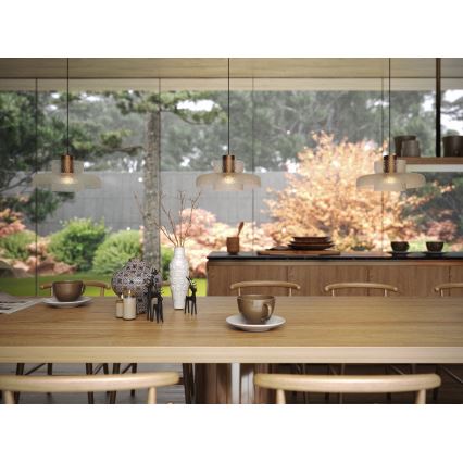 MAXLIGHT P0532 - LED Luster na sajli SIGNATURE LED/8W/230V pr. 22 cm mesing/prozirna